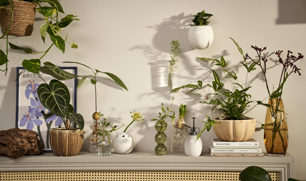 schot textuur van nu af aan Planten en potten | Søstrene Grene